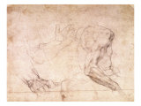 Studies of Hands and an Arm Giclee Print by Michelangelo Buonarroti 