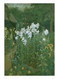 Madonna Lilies in a Garden Giclee Print by Walter Crane