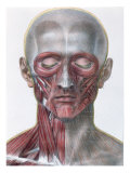 Musculature of Face, Plate from 'Traite Complet de l'Anatomie de l'Homme' Reproduction procédé giclée par Nicolas Henri Jacob