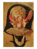 Anatomical Drawing of the Head Reproduction procédé giclée par Hieronymus Fabricius ab Aquapendente