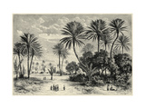 Oasis of Gafsa: Tunis Giclee-trykk av Charles Barbant Oasis of Gafsa: Tunis Giclee-trykk av Charles Barbant