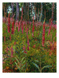 Foxgloves, c.1916 Giclee Print by Georges Lacombe