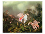 Jungle Orchids and Hummingbirds, 1872 Giclee Print by Martin Johnson Heade