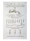 Posture of the Hand and the Penknife, engraved by Aubin, plate from Diderot's 'Encyclopedie' reproduction procédé giclée par Charles Paillasson