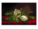Magnolia Giclee Print by Martin Johnson Heade