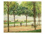 Street of Spanish Chestnut Trees by the River, 1878 Giclee Print by Alfred Sisley