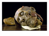 Wax Anatomical Sculpture of an Old Man's Head Giclee Print by Gaetano Zumbo
