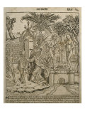 Adam and Eve, Illustration from the 'Liber Chronicarum' by Hartmann Schedel Reproduction procédé giclée par Michael Wolgemuth
