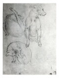 Study of a Dog and a Cat, c.1480 reproduction procédé giclée par Leonardo da Vinci 