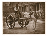The Water Cart, from 'Street Life in London', 1877-78 Giclee Print by John Thomson
