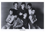 The Outsiders, 1982 Lámina
