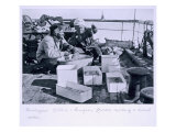 Biologist Lillie and Surgeon Levick Sorting a Trawl Catch on Board 'Terra Nova' from 'Scott's Last  Giclee Print by Herbert Ponting