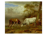 Two Bulls with Locked Horns, 1653 Giclee Print by Paulus Potter