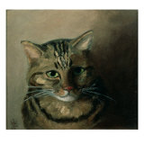 A Head Study of a Tabby Cat reproduction procédé giclée par Louis Wain