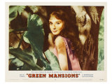 Green Mansions, 1959 reproduction procédé giclée