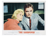 The Sandpiper, 1965 Giclee Print