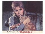 The Three Lives of Thomasina, 1964 Giclee Print