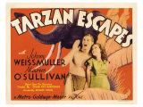 Tarzan Escapes, 1936 Giclee Print