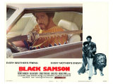 Black Samson, 1974 ジクレープリント