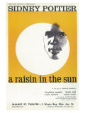 A Raisin In The Sun Giclee Print