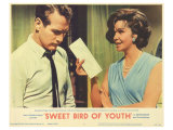 Sweet Bird of Youth, 1962 Giclee Print