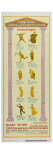 A Funny Thing Happened On the Way to the Forum, 1966 Reproduction procédé giclée
