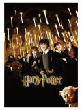 Harry Potter and the Chamber of Secrets, 2002 Giclee Print