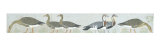 Geese of Maydum (Medum) Giclee Print