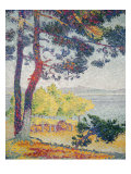 Afternoon at Pardigon Reproduction procédé giclée par Henri Edmond Cross