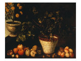 Naturaleza muerta Lámina giclée por Tomas Hiepes
