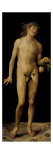 Adam Giclee Print by Albrecht Dürer