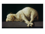 Agnus Dei (Lamb of God) Giclee Print by Francisco de Zurbaran