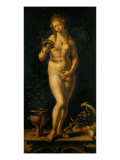 Venus in the Mirror reproduction procédé giclée par Jan Gossaert