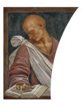 Sallust Giclee Print by Luca Signorelli
