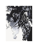 Grapes, c.1979 Giclee Print by Andy Warhol