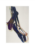 Ballet Slippers, c.1981-82 reproduction procédé giclée par Andy Warhol