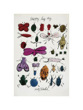 Happy Bug Day, c.1954 Giclee Print by Andy Warhol