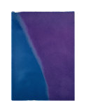 Shadows I, c.1979 (blue and purple) Giclee-vedos tekijänä Andy Warhol