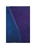 Shadows I, c.1979 (blue and purple) Giclée-Druck von Andy Warhol