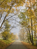 Rural Road in Autumn at Dawn, Vermont Photographic Print by John Churchman