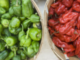 Red and Green Shishito Peppers Photographic Print by Andrea Sperling