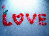Rose Protrudes from Rose Petal Message Photographie par Images Monsoon