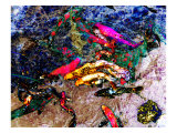 Pond with Koi Fish Lámina giclée por Images Monsoon
