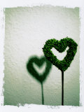 A Green Love Sign with its Shadow Photographic Print by Abdul Kadir Audah