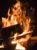 Fire and Wood Photographie par Daniel Root