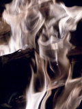 Fire and Wood Photographic Print by Daniel Root