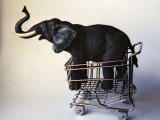 Profile Toy Elephant in Toy Supermarket Cart Photographic Print by Winfred Evers