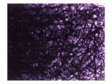 Abstract Image in Black and Purple Lámina giclée por Images Monsoon