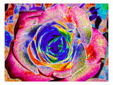 Rainbow-Colored Rose Giclee Print by Rich LaPenna