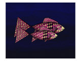 Two Red and Yellow Happy Fish Giclee Print by Rich LaPenna